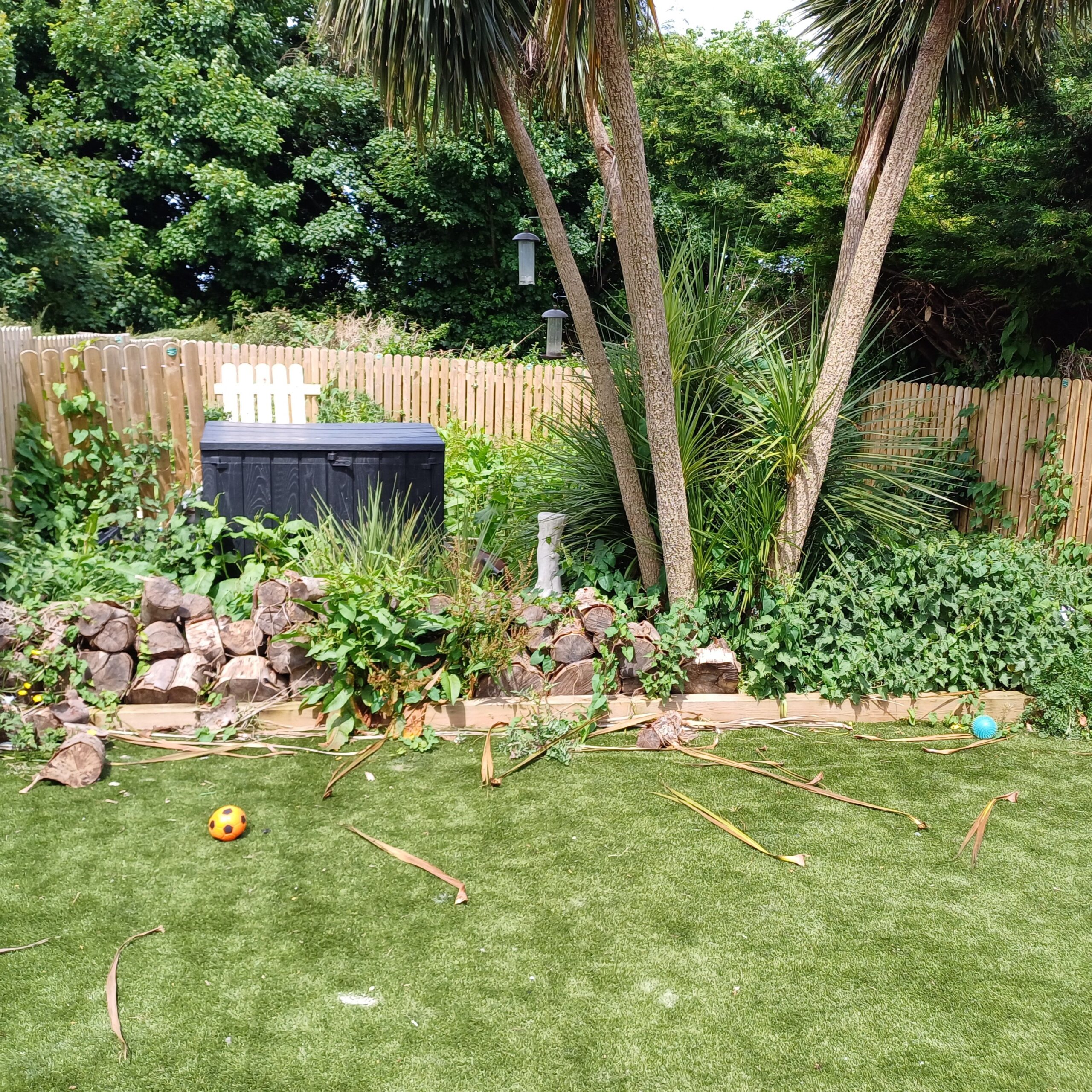 Backyard Oasis (Before)